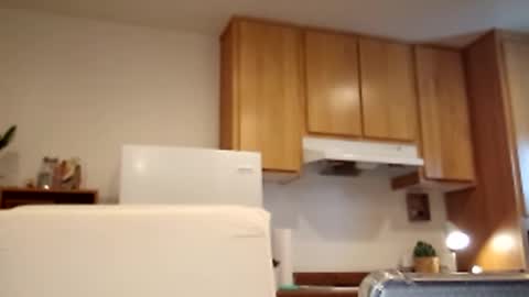 salis1981 online show from March 2, 5:41 pm