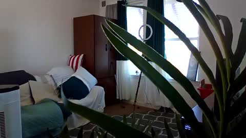 salis1981 online show from March 3, 5:45 pm