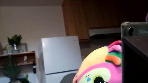 salis1981 online show from October 13, 11:00 pm