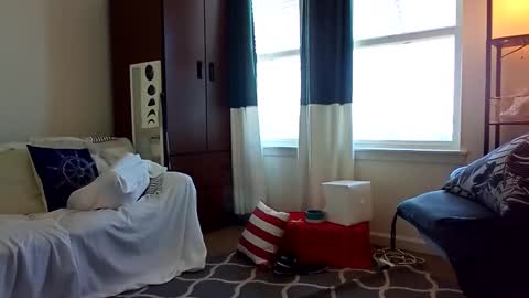 salis1981 online show from February 5, 8:35 pm