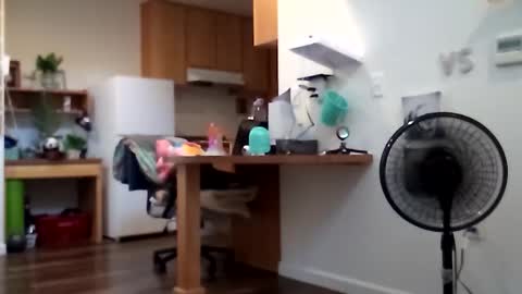 salis1981 online show from October 12, 10:59 pm