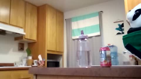 salis1981 online show from September 17, 6:31 pm