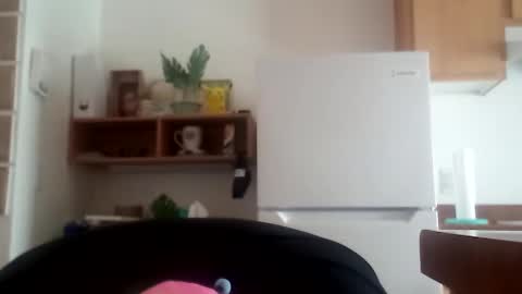 salis1981 online show from October 4, 11:31 pm