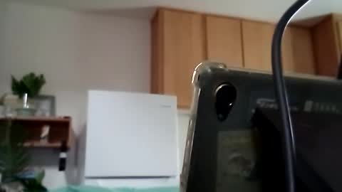 salis1981 online show from October 14, 11:01 pm