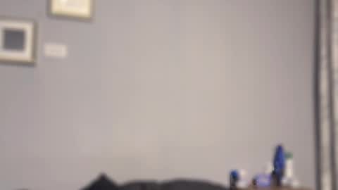 Salvatore online show from February 8, 3:34 am