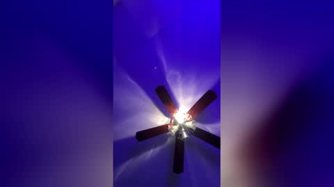 OmniNegate online show from December 20, 8:32 am