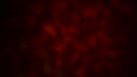 samueltal online show from October 27, 10:12 pm