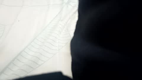 Snapshot of santhoshlees chatting on February 13, 11:06 am Harder online show from February 13, 11:06 am