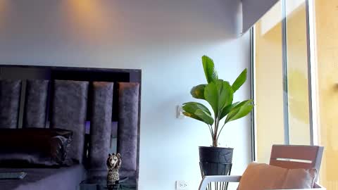 Santiago Seans online show from November 29, 3:47 pm