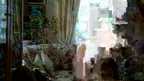 sasalimo online show from April 3, 9:28 am