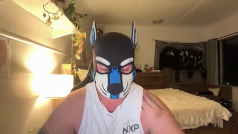 Sunny Coast online show from February 22, 12:06 pm