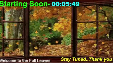 ...PHIL... online show from November 3, 1:10 am