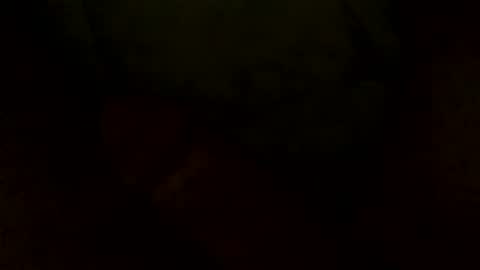 scottie111111 online show from December 29, 10:03 pm