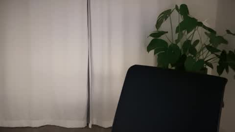 Scotty online show from December 9, 12:31 pm