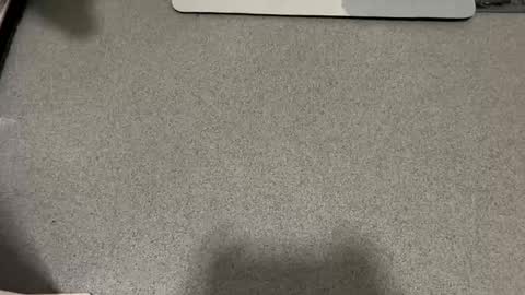 scottyc48 online show from December 21, 10:12 am