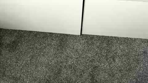 scottyc48 online show from January 7, 2:44 pm