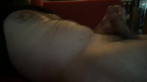 secretagent17 online show from May 26, 4:08 am
