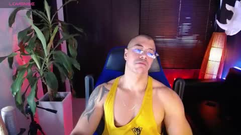 sed online show from December 2, 12:05 pm