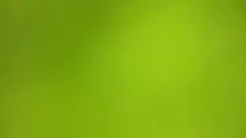 SENS3439 online show from December 2, 8:06 am