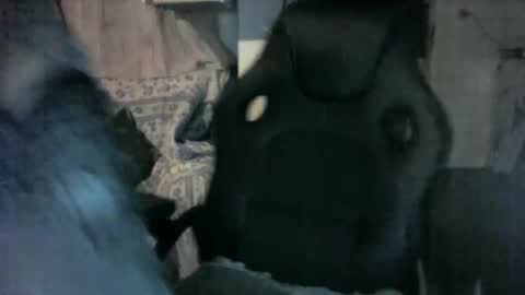 sexdeiv online show from May 20, 1:56 am