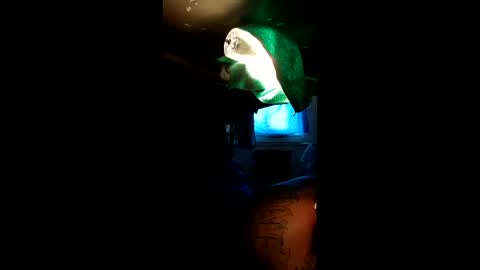 sextyplayboy online show from April 4, 7:44 pm