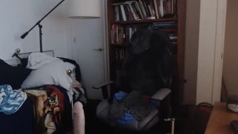 sheepishlion online show from April 19, 7:41 am