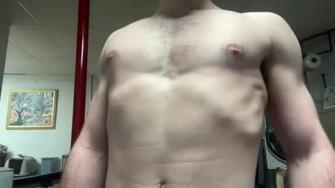 shirtlesshunk15 online show from February 17, 1:48 am