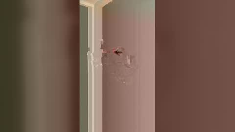 shyboymat69 online show from January 10, 4:39 am