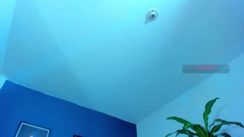 silvabranko online show from September 15, 12:02 am