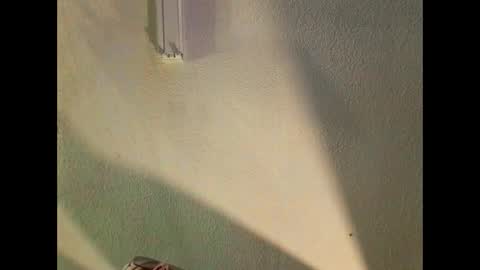 SILVA online show from March 7, 4:10 am