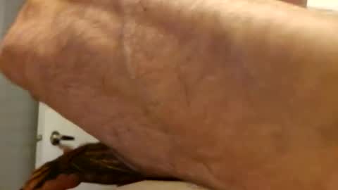 slayerdime85 online show from March 12, 1:08 pm