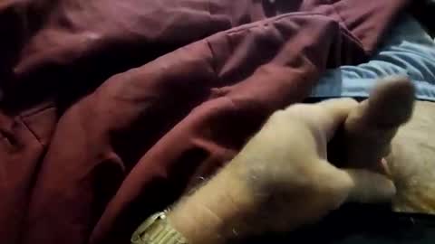 slitlicke69696969 online show from February 3, 7:19 pm