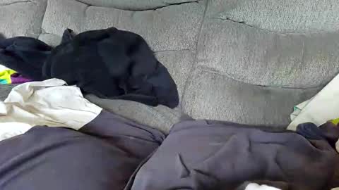 Snapshot of smurf720 chatting on October 15, 1:08 pm smurf720 online show from October 15, 1:08 pm