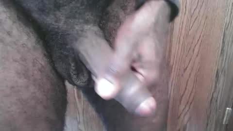 snkr1244 online show from April 12, 7:15 pm