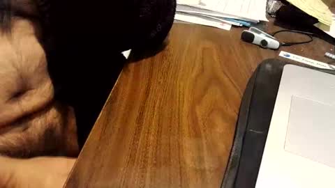 watchmecum online show from February 17, 4:28 pm