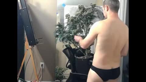 somethingaboutabiee__ online show from April 18, 12:23 am