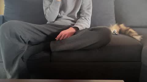 Sondages online show from March 9, 10:41 am