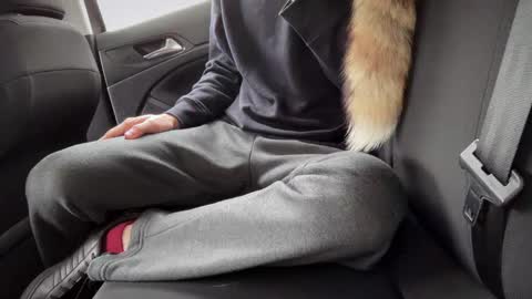 Sondages online show from February 23, 8:44 am