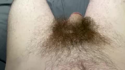 south420153239 online show from April 7, 3:17 am