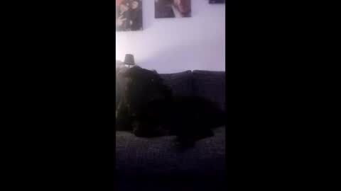 spermaking854897 online show from March 14, 4:08 am