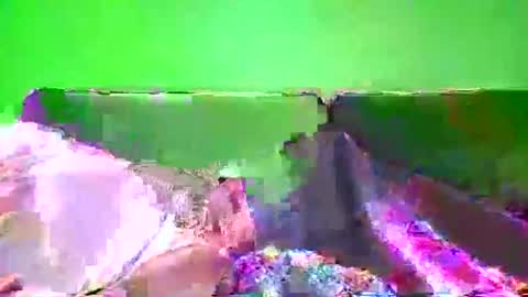 spritzer47 online show from January 25, 1:08 pm