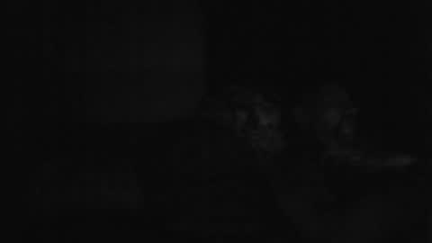 Snapshot of stephan6078 chatting on January 22, 5:26 am stephan6078 online show from January 22, 5:26 am