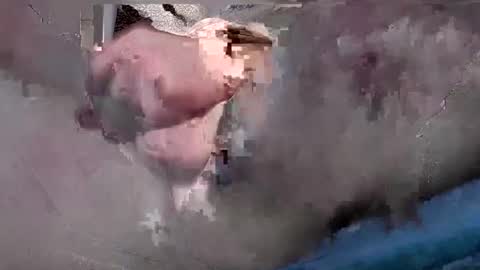 steve online show from January 15, 8:37 pm