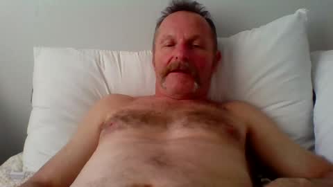 steviehard8 online show from June 27, 11:21 pm