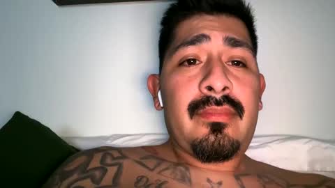 stylezg805 online show from October 4, 8:30 am