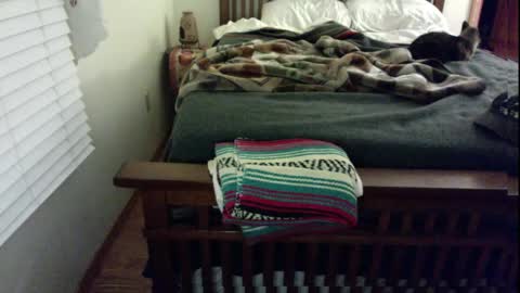 Submitted4u online show from December 22, 3:55 am