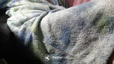 sven online show from November 6, 7:06 pm