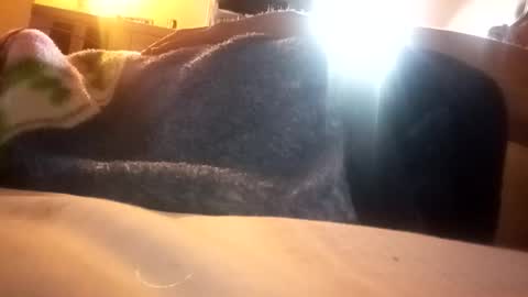 Snapshot of superdavedetailzz2025 chatting on October 31, 11:24 am superdavedetailzz2025 online show from October 31, 11:24 am