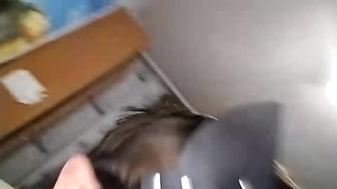 Sweetboy0777 online show from February 10, 10:31 am