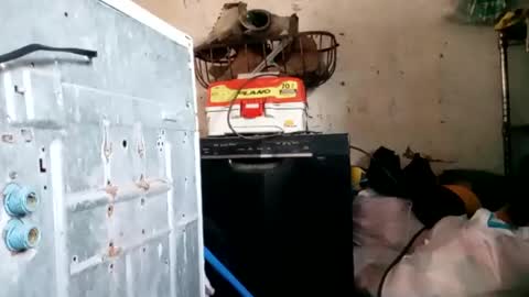 tadfn online show from January 18, 1:40 pm